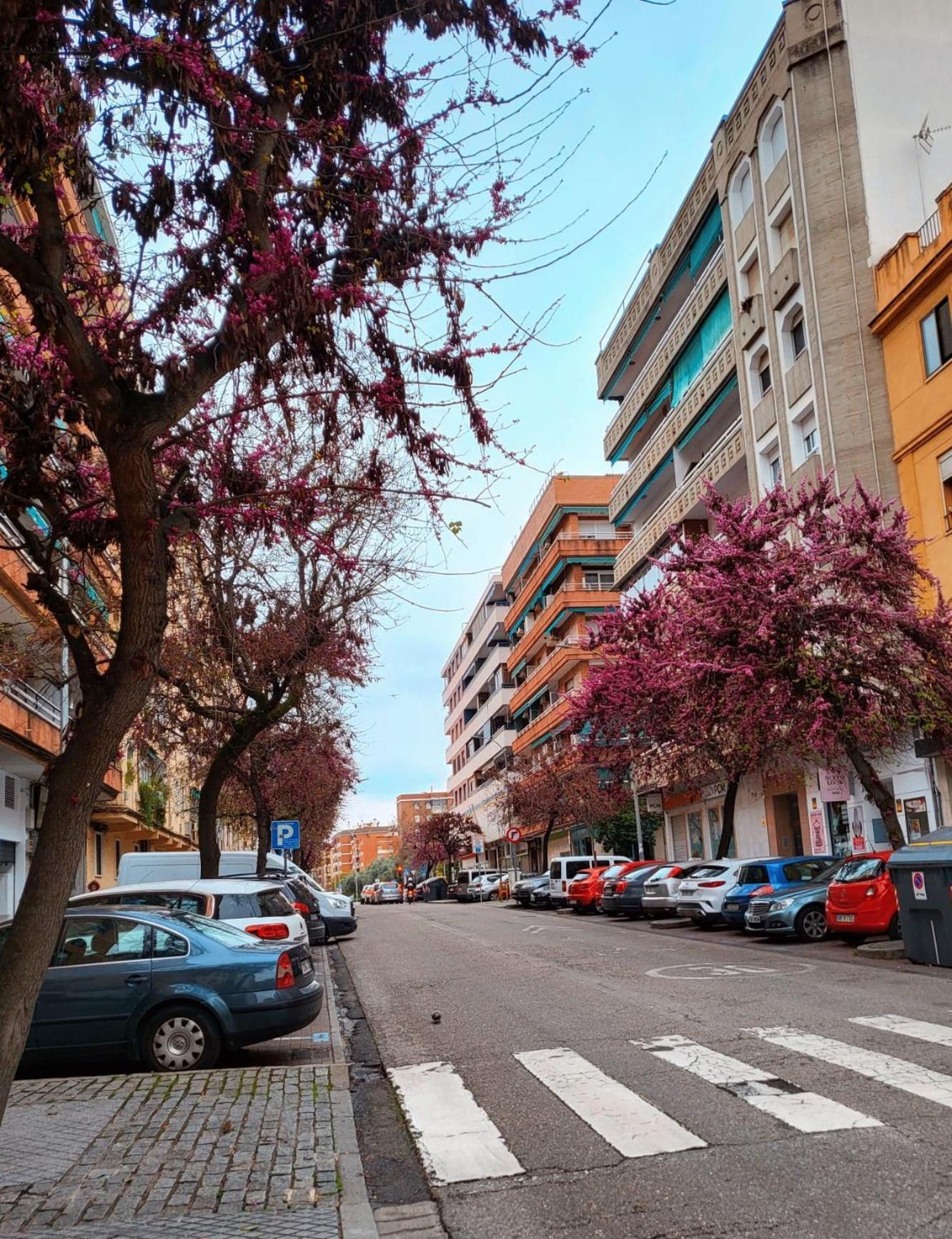 Vintage Apartment Córdoba Exterior foto