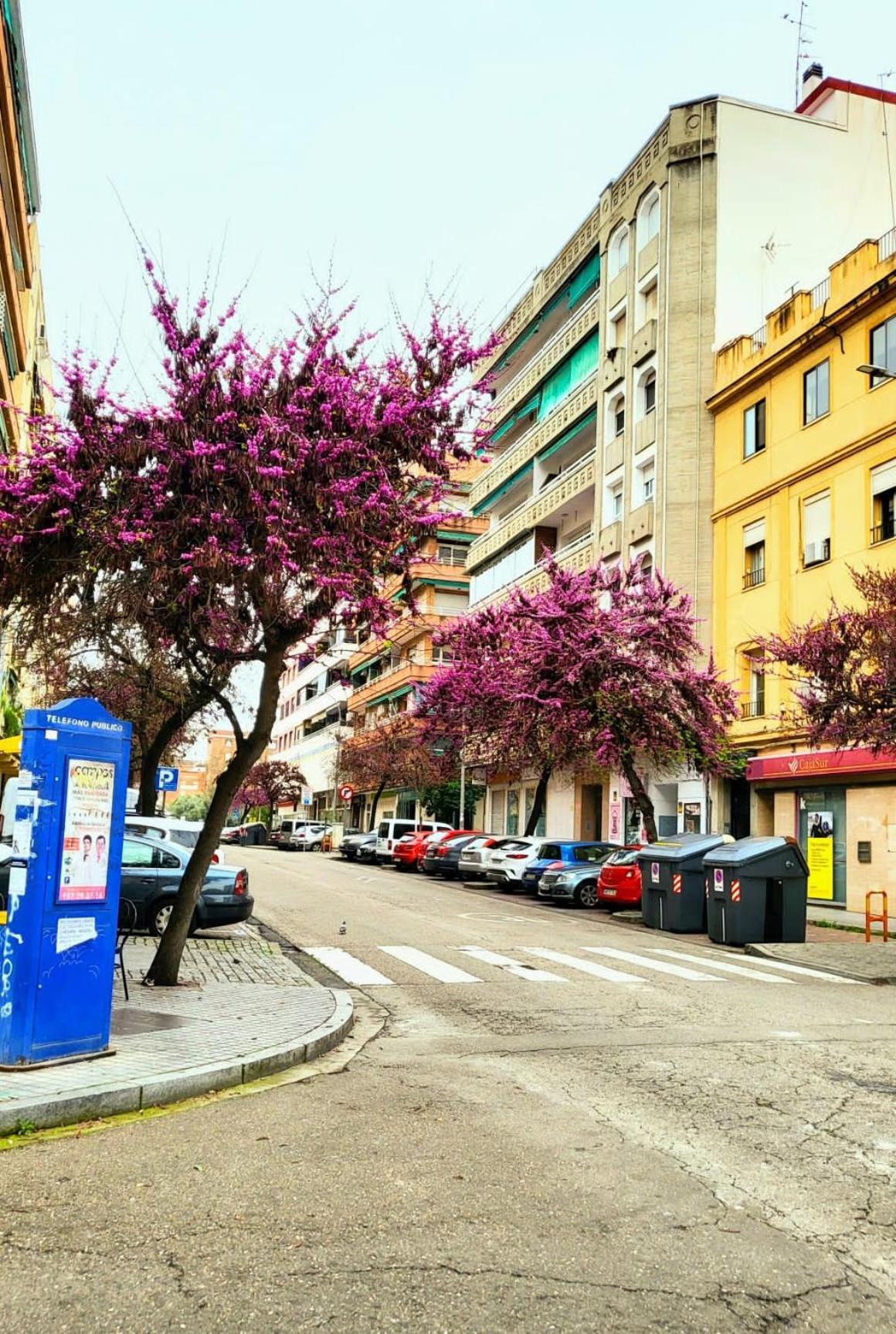 Vintage Apartment Córdoba Exterior foto